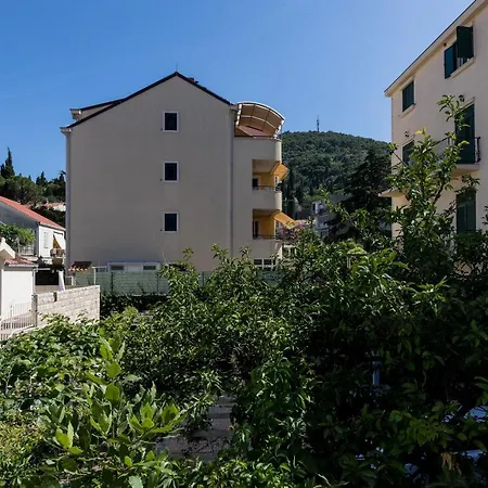 Fortinia Dubrovnik- Free Parking Lägenhet